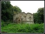 Ruiny zamku w Wgierce