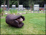 Ogrd botaniczny