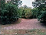 Park w Podkowie