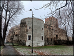 Zbkowice lskie - zamek
