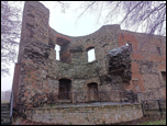 Zbkowice lskie - zamek