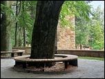 Szczwno Zdrj - Park Szwedzki
