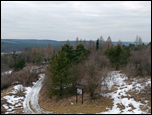 Wiea widokowa