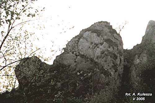 lutowiec_01kadr.jpg