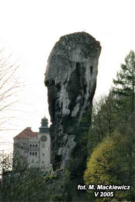 maczuga_01.jpg
