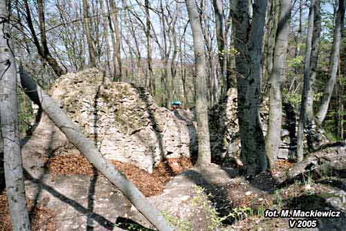ostreznik_03.jpg