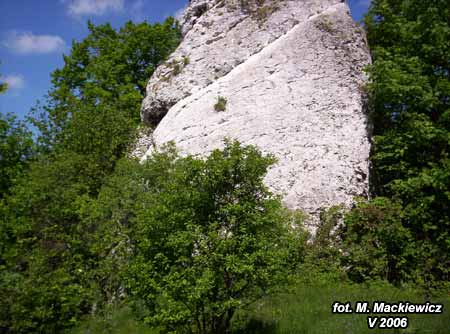 02_suliszowice01.jpg