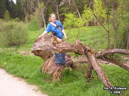 06_miedzyskaly01.jpg