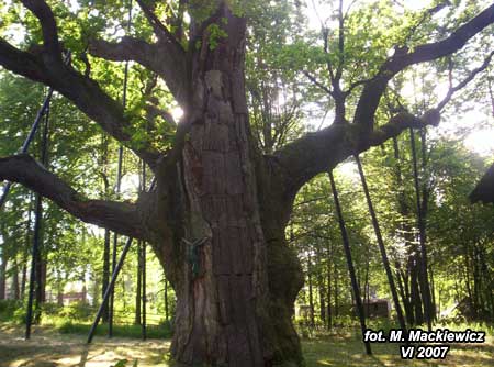 100_1419.jpg