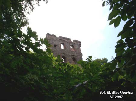100_1466a.jpg