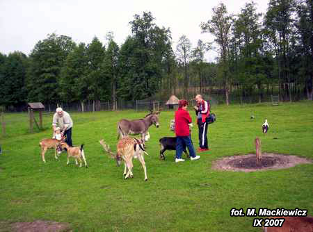 100_1741.jpg