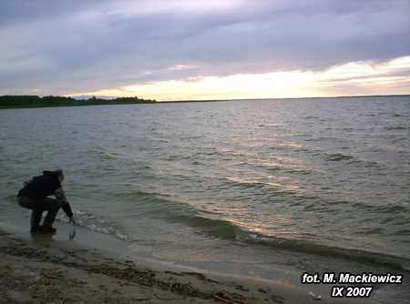 100_1779a.jpg