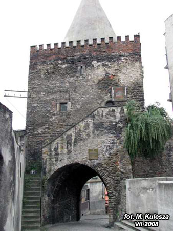 234_IMG_0286x.jpg