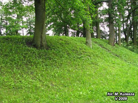 1108_IMG_3317.jpg