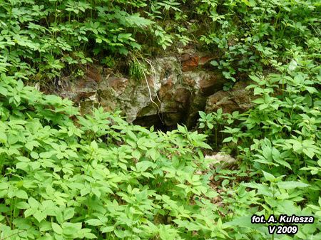 1110_P1010571.jpg
