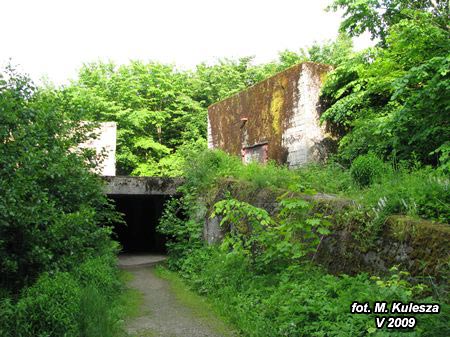 1356_IMG_3450x.jpg