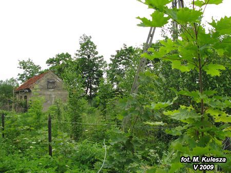 1122_IMG_3324x.jpg