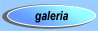 galeria zdj
