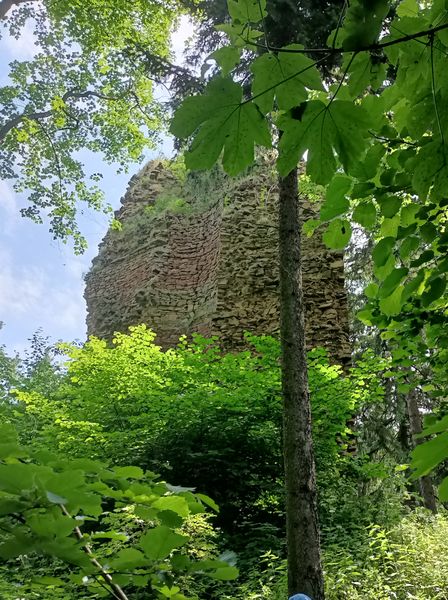 Ruiny zamku w Czarnym Borze