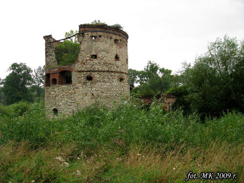 Ruiny zamku w Węgierce - 2009 r.