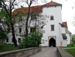 Zamek w Szydowcu