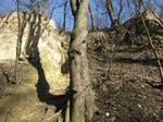 Wwz Krlowej Jadwigi w Sandomierzu