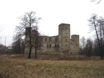 Zamek w Drzewicy