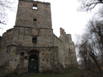 Drzewica - zamek