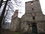 Drzewica - zamek
