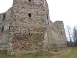 Drzewica - zamek