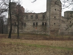 Drzewica - zamek