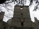 Drzewica - zamek