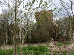 Borysawice Zamkowe - ruiny zamku