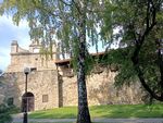 Nowy Scz - zamek